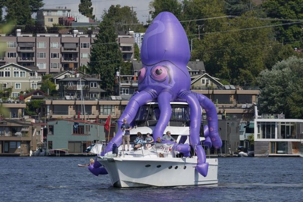 Kraken сайт kraken torion