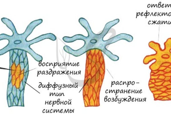 Блэкспрут зеркало кракен